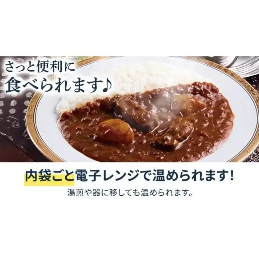 新宿 中村屋 インドカリー ビーフスパイシー 40個