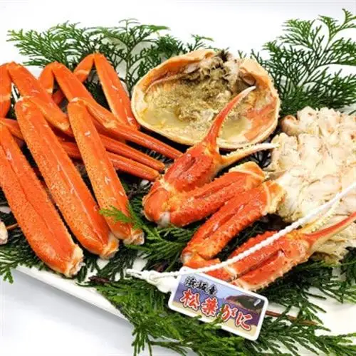 松葉ガニの本場より活〆茹でたてを即出荷　釜茹で松葉ガニ(冷蔵)　1枚　約800g【配送不可地域：離島・北海道・沖縄県・東北】【1040270】