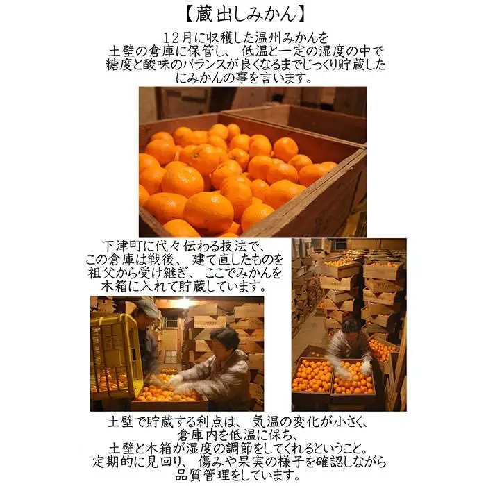 みかん 5kg 小玉サイズ 蔵出しみかん