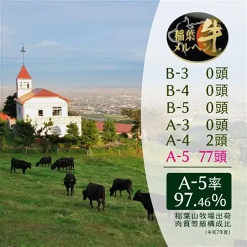 【毎月定期便】稲葉メルヘン牛食べ比べ【贅沢セット】全4回【配送不可地域：離島・北海道・沖縄県・東北・中国・四国・九州】【4004675】