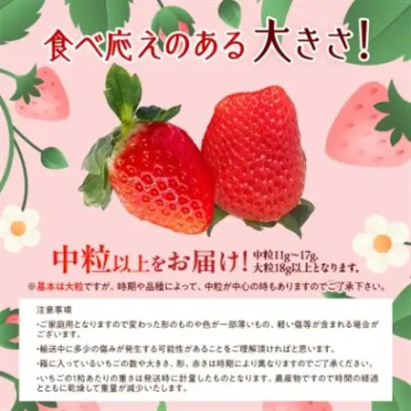 先行受付/2026年12月上旬発送開始!抜群の美味しさ!静岡限定:きらぴ香いちご 280g×2パック_きらぴ香 いちご 静岡_【配送不可地域：離島・北海道・沖縄県・東北・中国・四国・九州】【1451174】