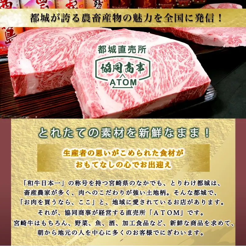 ハンバーグ・ウィンナー3.6kgセット〔AD-0106〕_(都城市) 和牛入りハンバーグ(160g×10枚) ハンバーグソース付き スモークウインナー (1kg) /ホワイトウインナー (1キロ) ハンバーグセット おかず