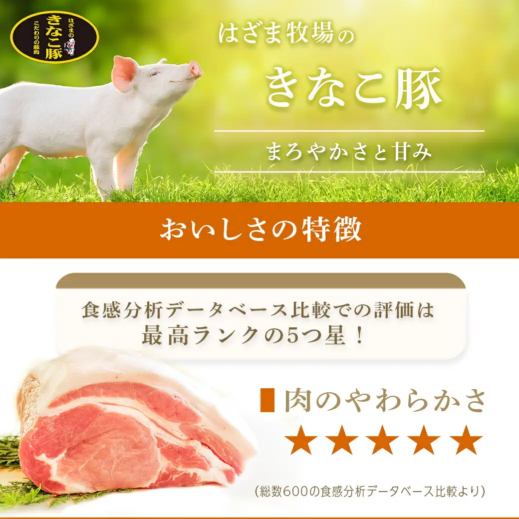「きなこ豚」詰合せ3kg〔AD-12-003〕_(都城市) ブランド豚 柔らかい豚肉 豚バラ焼肉用 豚ロース生姜焼き 豚肩ロース焼き肉 ウデモモ小間切れ モモミンチ ハンバーグ おかず