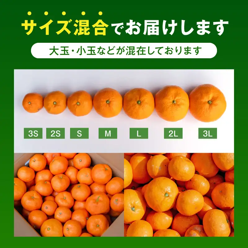 【2026年先行予約】【訳あり ご家庭用】和歌山県産 有田みかん 8kg＋2kg保証分 サイズ混合_EH6101