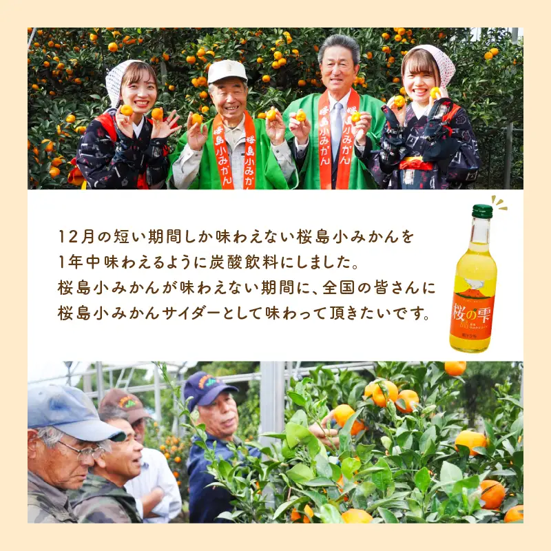 桜島 小みかん サイダー 「 桜の雫 」 10本 K247-002