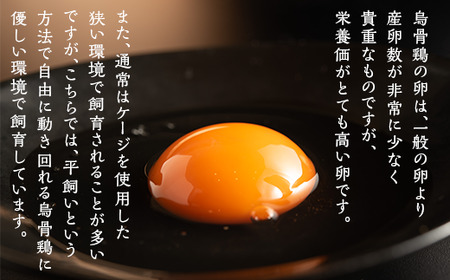 380 いばらきかすてら 約250g ハーフサイズ カステラ 希少 烏骨鶏 卵 使用