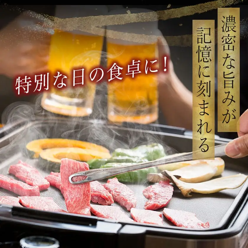 宮崎牛特選カルビ焼肉(A5)〔AD-A0-003〕_(都城市) 牛肉 A5等級の宮崎牛 特選カルビ焼肉 (500g) A5ランク 最高級の国産黒毛和牛 最上級の霜降り牛肉 焼き肉/バーベキュー/鉄板焼きにどうぞ 『内閣総理大臣賞』を受賞した生産者のお肉です!