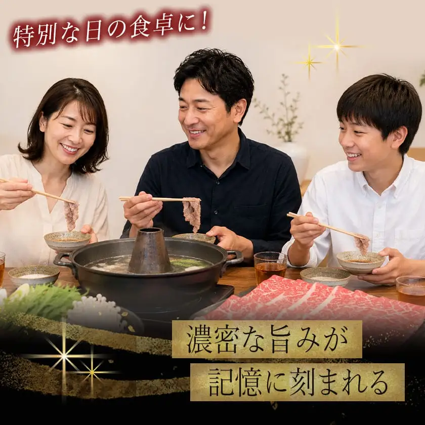 宮崎牛リブローススライス500g (A5) 〔AD-A0-004〕_(都城市) 牛肉 都城産宮崎牛 国産黒毛和牛『内閣総理大臣賞』を受賞した生産者のお肉です！ 最上級ランクのA5等級 霜降り牛肉 すき焼き/しゃぶしゃぶに A5ランク ギフト 贈答用