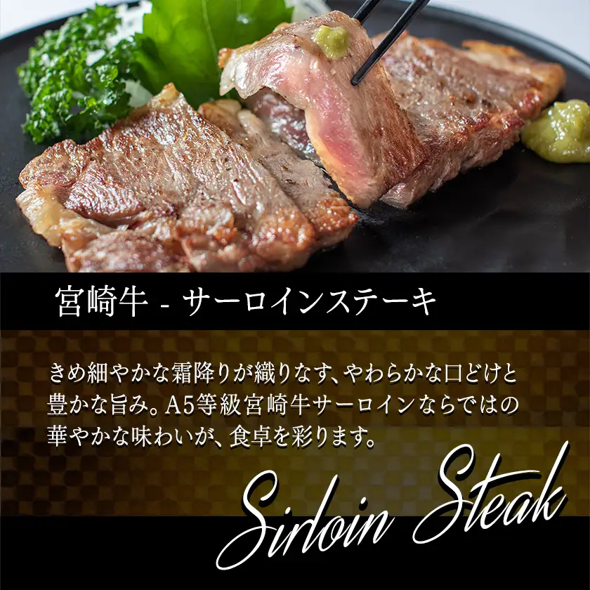宮崎牛(A5)ヒレ&サーロインステーキ600g〔MB-0125〕_(都城市) 牛肉 牛サーロインステーキ肉 (200g×2枚) 牛ヒレステーキ肉(100g×2) 合計600グラム 食べ比べ 贅沢ディナー Ａ5ランク 5等級 ギフト 贈答用
