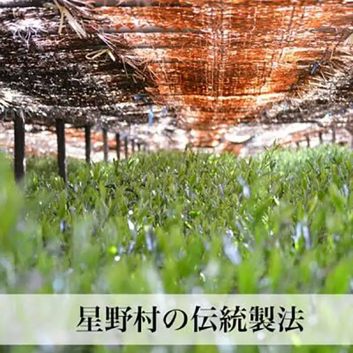 八女茶 【2026年産】 八女茶 80g [ABDD052] 八女茶