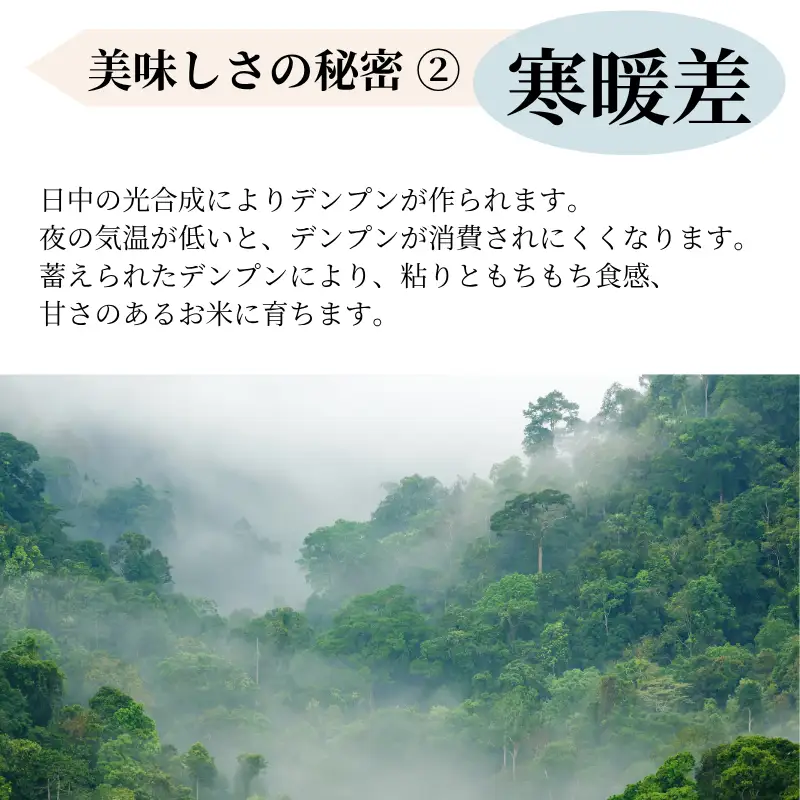 白餅 16枚 （8枚入×2パック）豆餅 8枚（8枚入×1パック）落花生餅 5枚 （5枚入×1パック） ヒメノモチ100％使用