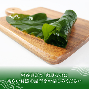 湯通し塩蔵こんぶ 500g×2袋  昆布 こんぶ 海鮮 海藻 魚貝類 魚介類 小分け 煮物 おでん 煮しめ 出汁 だし 三陸産 岩手県 大船渡市