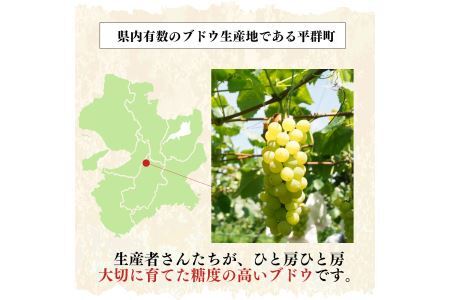 シャインマスカットと季節のぶどう セットA（4房入り）約2kg | フルーツ 果物 くだもの ぶどう 葡萄 ブドウ シャイン マスカット 奈良県 平群町 季節 セット