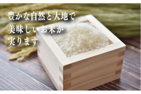 令和7年産 ヒノヒカリ 精米 10kg 奈良県産 | お米 ライス ヒノヒカリ 奈良県 平群町