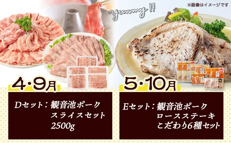 豚・鶏5種類の定期便（12ヶ月間）〔T100（12）-1501〕_(都城市) 観音池ポーク 焼くだけミートポーク6種セット 宮崎名物チキン南蛮セット 観音池ポークスライスセット 宮崎県産鶏焼くだけミート6種セット