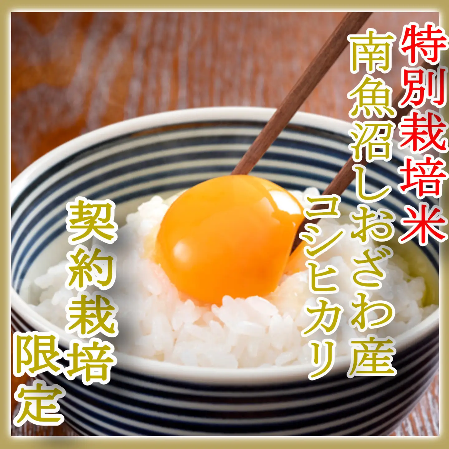 【令和7年産】【定期配送６Kg×６ヶ月】特別栽培 生産者限定  南魚沼しおざわ産コシヒカリ【定期便 銘柄米 ブランド米 精米 こしひかり コシヒカリ 魚沼産 新潟米 産地直送 お米 米 こめ コメ ご飯 御飯 ごはん】