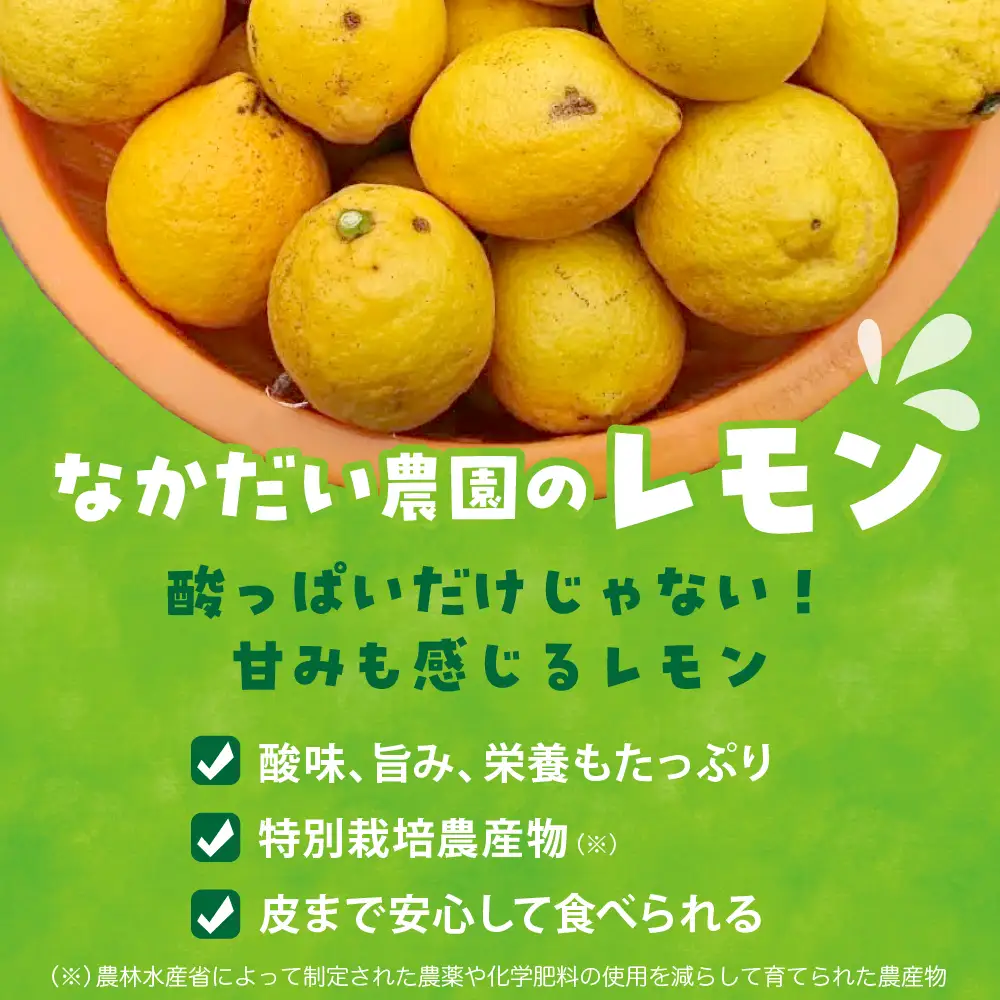 【先行受付】【2026年12月～発送】栽培期間中農薬不使用「レモン」 約1kg ku033-004-26