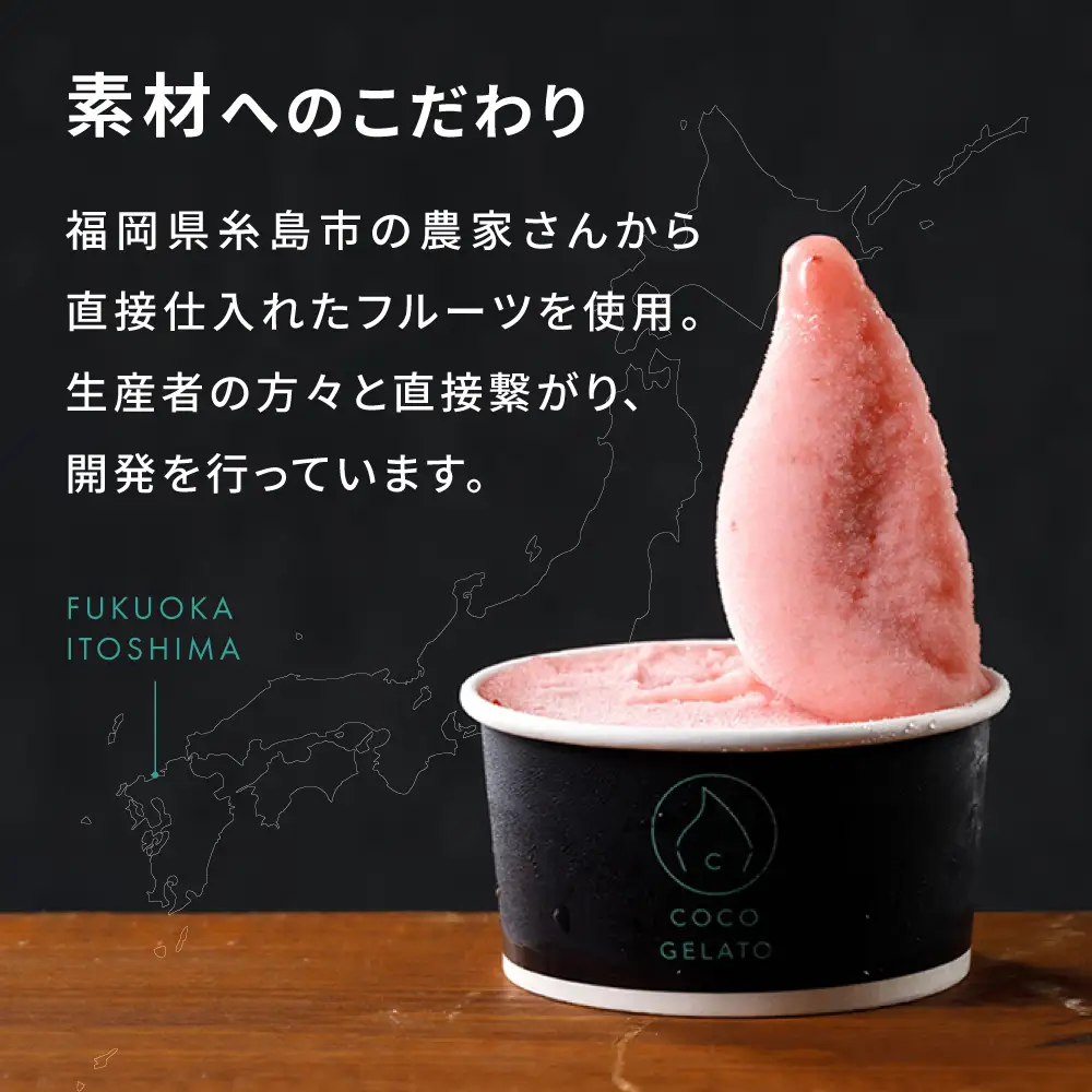 糸島 フルーツ 生ジェラート 9個セット 糸島市 / COCO GELATO [AON001]