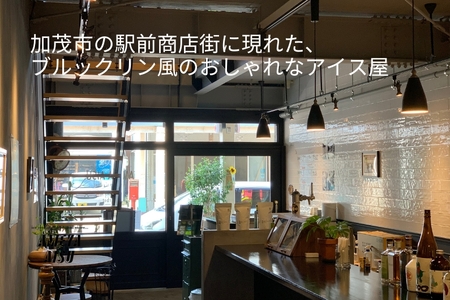 AMEYA AISU アイスクリーム＆シャーベット おまかせギフトボックス 100ML×8個入