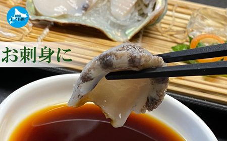 海洋牧場育ち養殖活蝦夷あわび（7㎝～7.4㎝×6個）　活アワビ　鮑　海鮮　産地直送　魚介類　海の幸　おせち　エゾアワビ　冷蔵　アワビ　BBQ　バーベキュー　蝦夷鮑