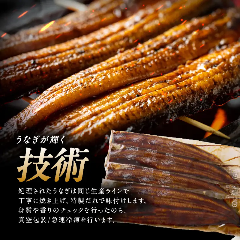 2082-1 鹿児島県 大隅産 うなぎ 蒲焼 5尾（ 750g ）【 3ヶ月 定期 】 KN007-T04 魚 冷凍 鰻