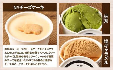 雪文アイス 5個 セット アイス 5種類 (コクミルク/チョコレート/抹茶/NYチーズケーキ/塩キャラメル) アイスクリーム 食べ比べ 詰合せ カップアイス