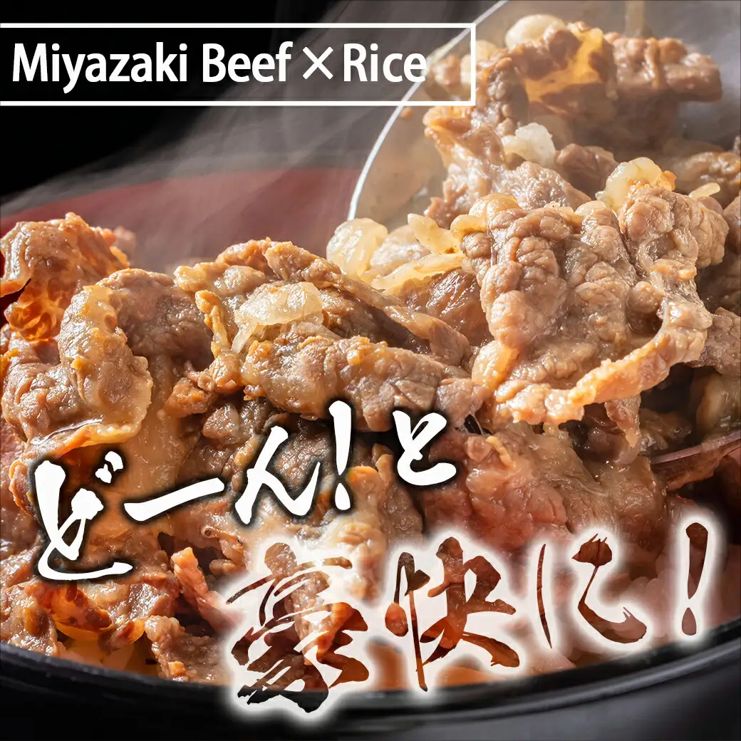 宮崎牛バラ肉の切り落とし500g (250g×2パック)〔17-7701〕_(都城市) 宮崎牛 バラ 切り落とし 500g 250g 2パック 真空 肉じゃが 牛丼