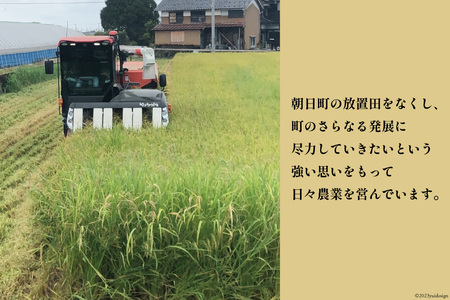 【人気急上昇中！】米 コシヒカリ 精米 2kg
