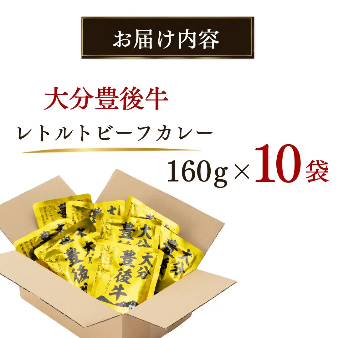 レトルトカレー 大分豊後牛 レトルトカレー 10食