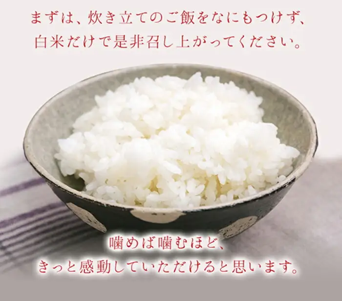 ひとめぼれ無洗米10kg(5kg x2個入れ） 【1815】