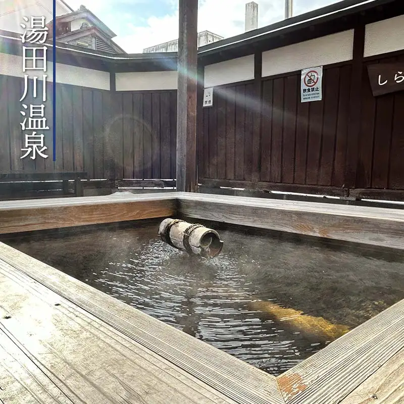 山形県鶴岡市内共通宿泊券【50,000円×1枚】湯野浜温泉・由良温泉・あつみ温泉・湯田川温泉　DEGAM鶴岡ツーリズムビューロー | 旅行 旅館 観光地 海水浴 マリンレジャー 庄内 環境省 国民保養温泉地指定