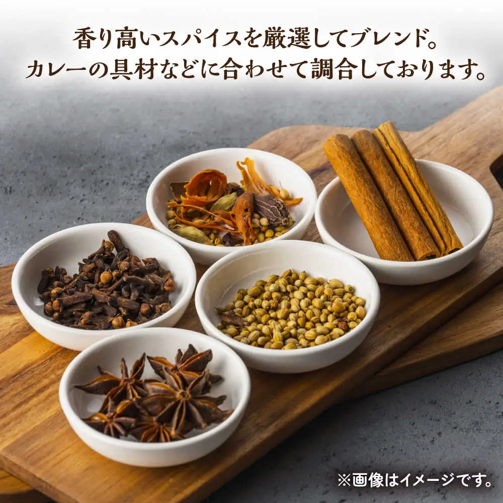 【3回定期便】薬膳スパイスチキンカレー 4食 /自然庵 [UCQ004] カレー