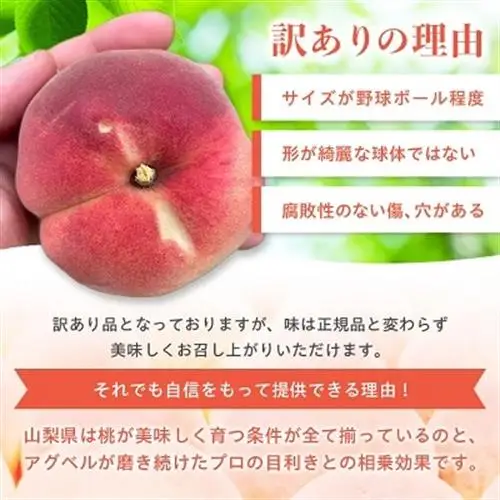 【2027年発送　先行受付】【訳あり】桃5～9玉2kg以上【配送不可地域：離島】【1456742】