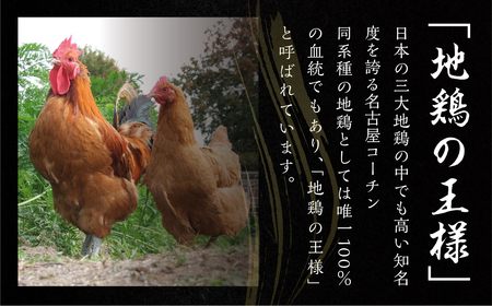 【定期便】《期間限定》名古屋コーチン 4回定期便 正肉 焼き鳥 ハム