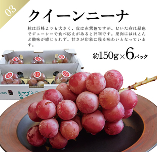 SE0465　【3回定期便】農家直送 フレッシュフルーツ定期便2026 (庄内メロン、青ぶどう、赤ぶどう)