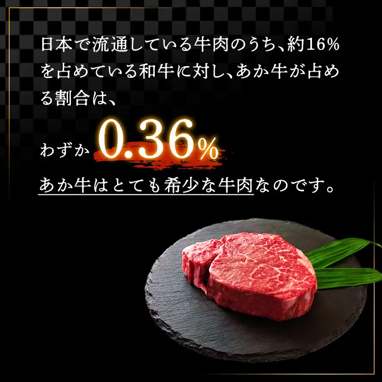 肥後の赤牛ハンバーグ150g×10個 阿蘇牧場 熊本県 阿蘇市