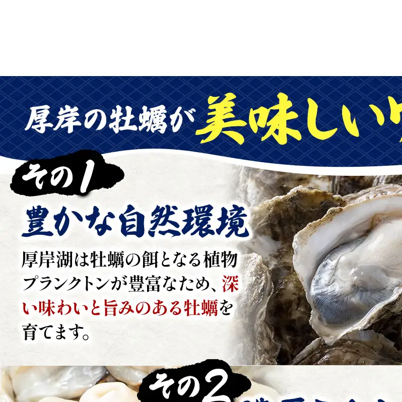 北海道 厚岸産 砂抜き済み あさり 1kg ＆ ブランド牡蠣 マルえもん 殻付き LLサイズ 20個 【光輝】 [ 魚貝類 海鮮 海の幸 みそ汁 酒蒸し アサリバタ 産地直送 生食用牡蠣 生食用 牡蠣 カキ ］