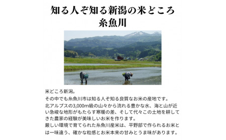 【令和6年産 新米先行予約】『新之助』玄米20kg 新潟県糸魚川産 しんのすけ 農家自慢の特選米 JA えちご上越農業協同組合
