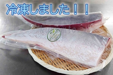 オリーブハマチ　冷凍　柵２本【A-105】【予約受付：令和8年11月頃よりご用意でき次第発送！】