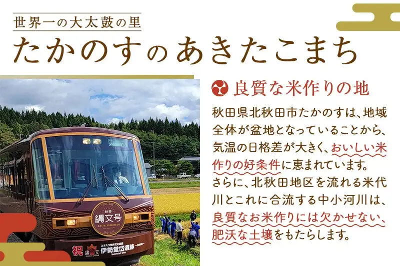 あきたこまち 白米5kg(5kg×1袋)  5キロ お米 令和7年産 秋田たかのす農業協同組合