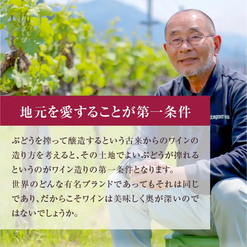 ロリアン 山梨マスカット･ベーリーA【ライトボディ･辛口】（LRT）B-760