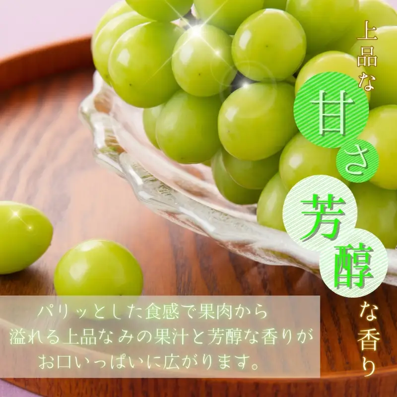 シャインマスカット 約2kg　紀州和歌山産【2026年8月下旬頃～2026年9月上旬頃に順次発送予定】【UT78】【Z91110-uot798】