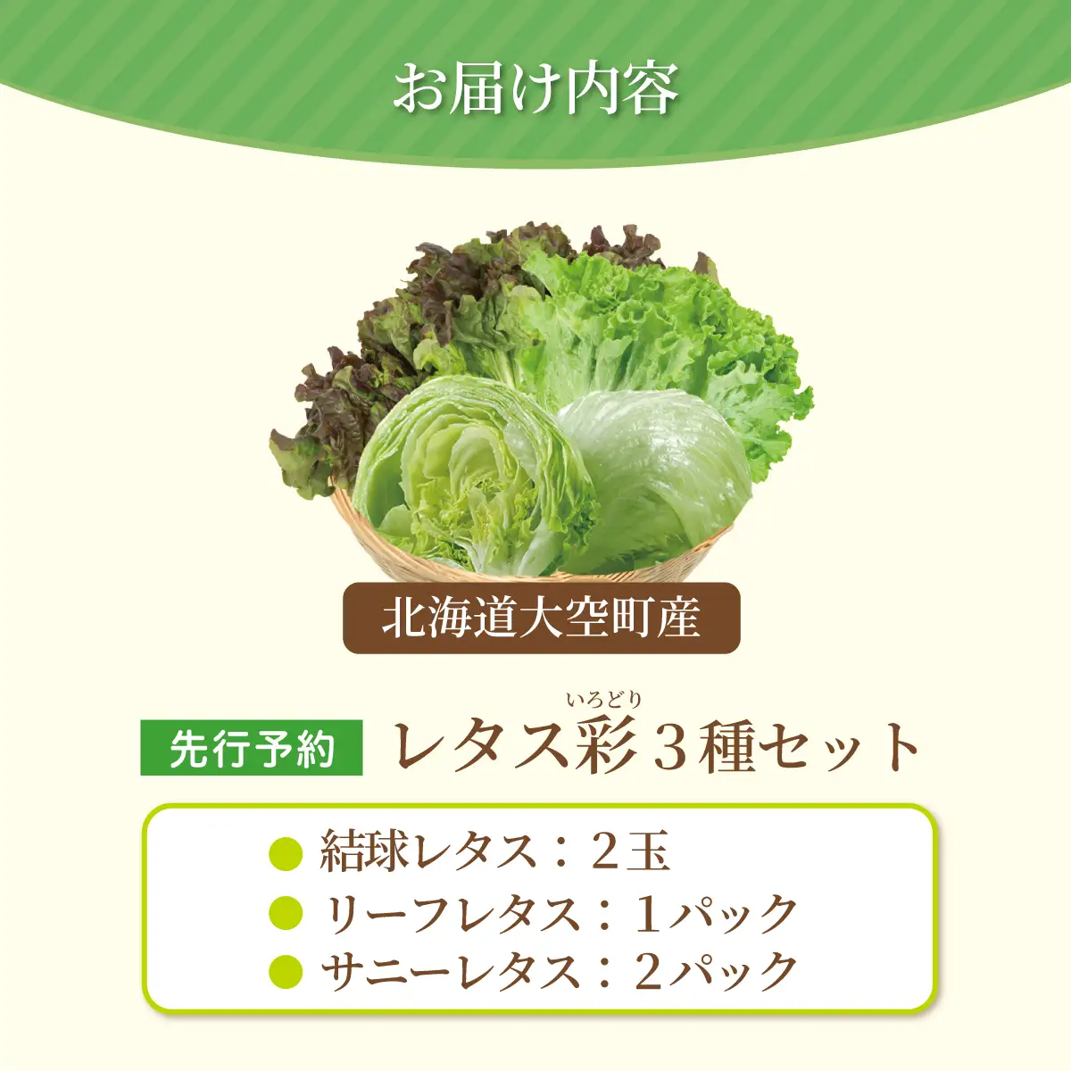 【先行予約】レタス彩（いろどり）3種セット（2026年9月以降順次発送）  OSU003