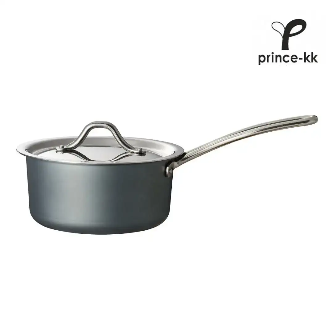 鉄鍋 TE2NABE ソースパン16cm 無水調理 燕三条製 鍋 [プリンス工業] 