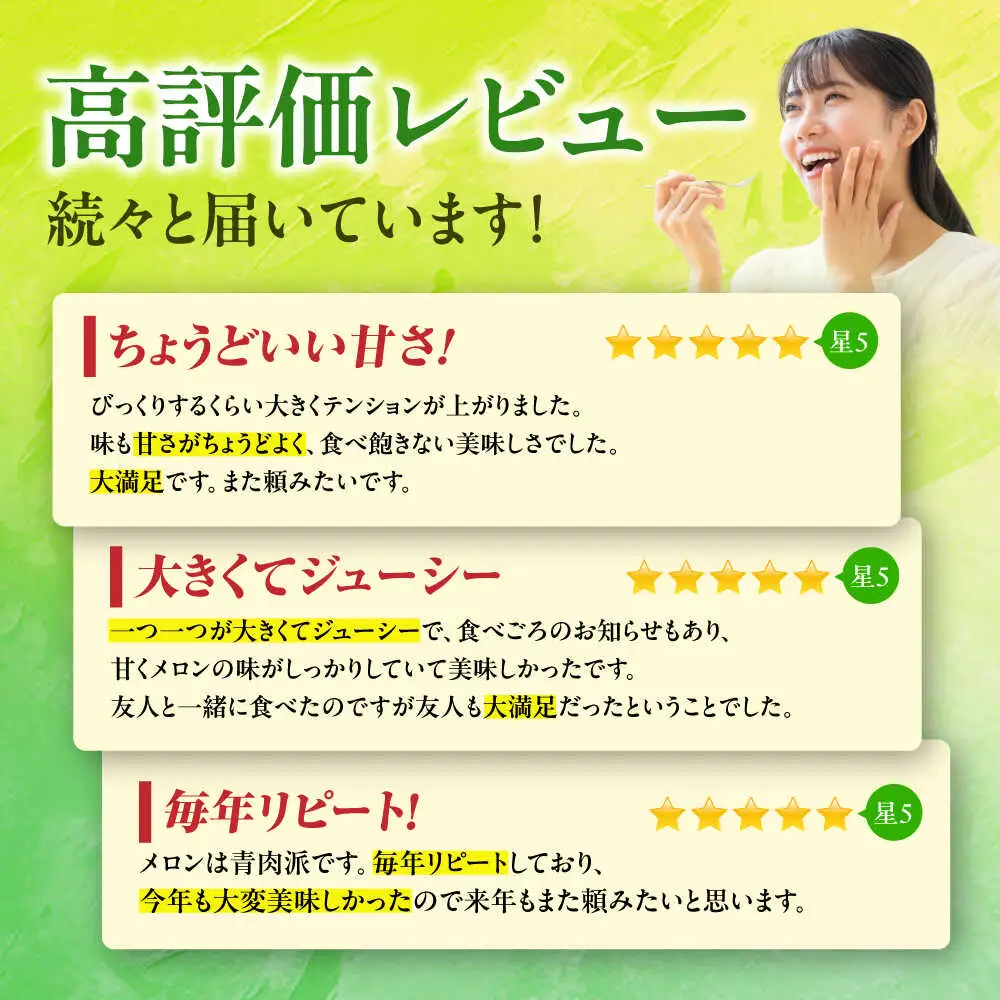 【先行予約】肥後グリーンメロン2玉熊本メロンめろんZCN003