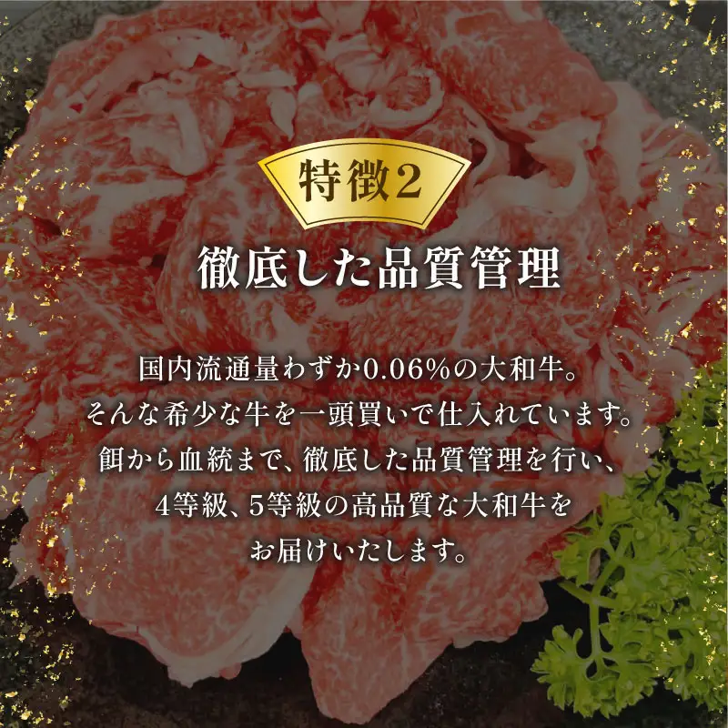 大和牛 すき焼き（しゃぶしゃぶ）用牛肉切り落とし 600g　I-276