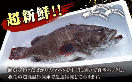 【対馬産】高級魚 マハタ 鍋セット 500ｇ（2ー3人前）  海鮮 魚介 鍋  [WAB013]