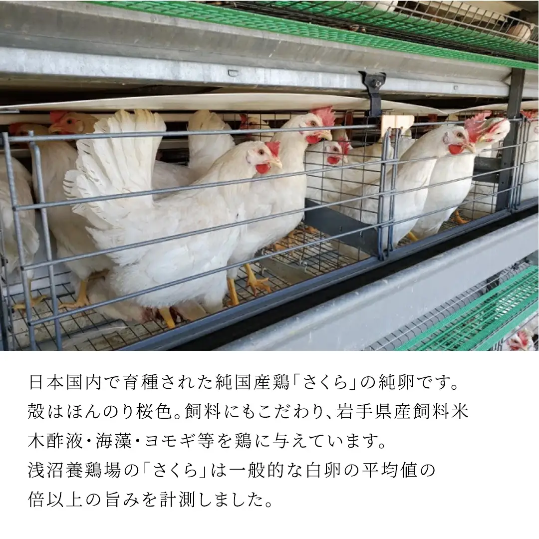 【卵】純国産鶏「さくら」純たまご 30個入り (AJ027)