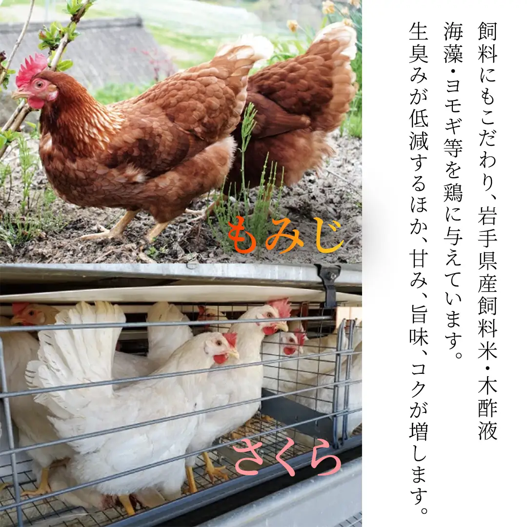 【卵】純国産鶏【さくらともみじ】純たまご 30個入り (AJ031) 鶏卵 食べ比べセット