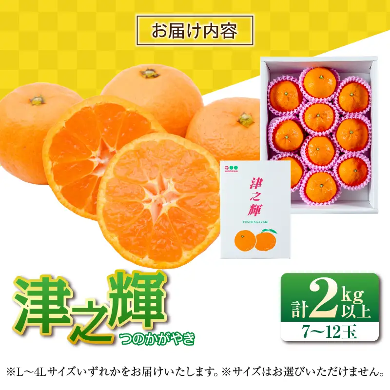 先行予約 みかん 津之輝 つのかがやき 2kg 希少 L ～ 4L フルーツ 果物 くだもの 柑橘_AAV22-26